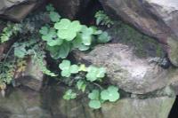 2006_06_0337