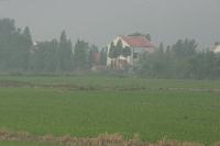 2006_06_2008 