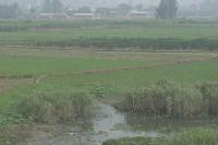 2006_06_2032