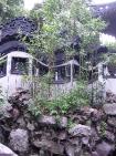 DSCN1621