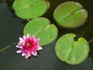 DSCN1741
